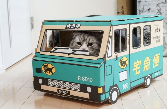 だ だ
